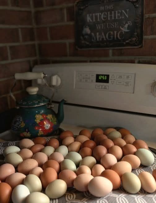 A morning's eggs and a painted teapot