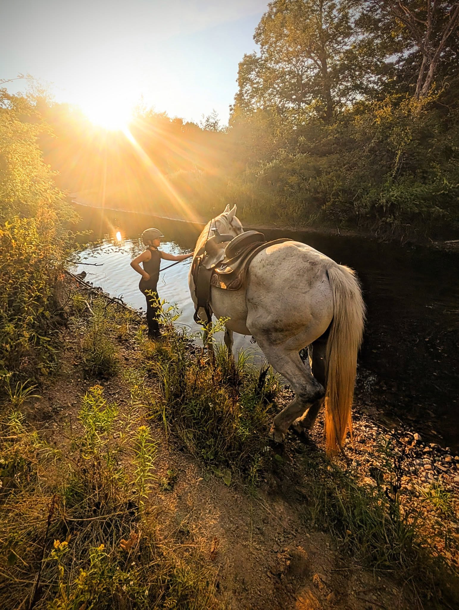 Willow and Astra
